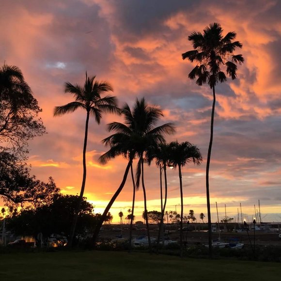 Clearance: Everything Must Go. Make An Offer. Bundle & Save. Buy Now! - Picture 16 of 17